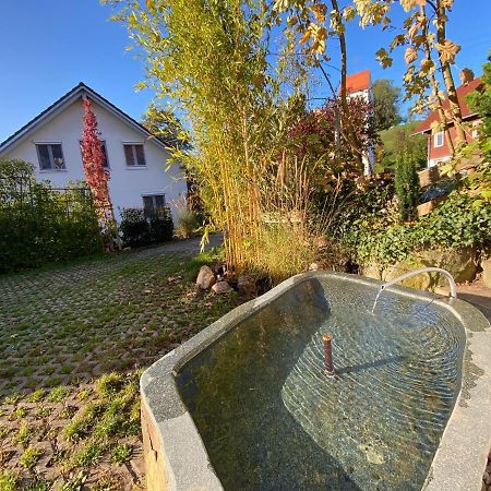 Pia'S Nature Retreat Neukirch  Exteriér fotografie